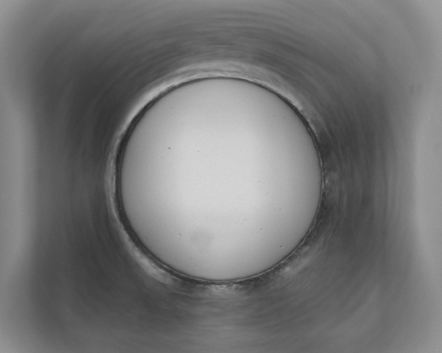 X0000110741523200906290938