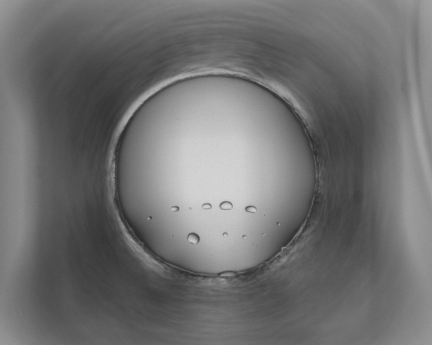 X0000110741524200906290938