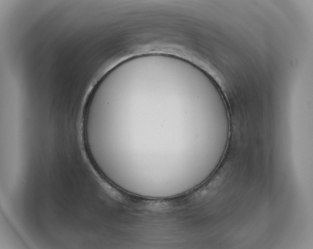 X0000110741525200906290938