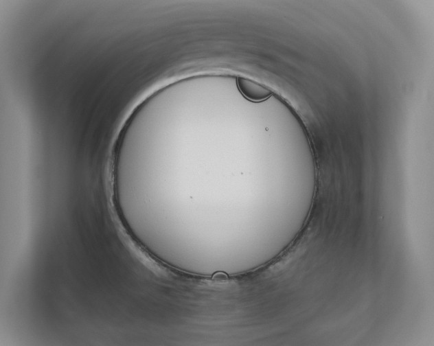 X0000110741526200906290938