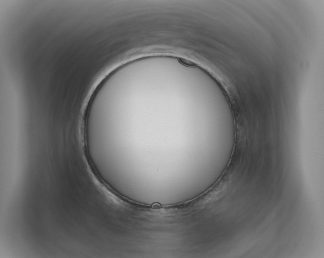 X0000110741527200906290938