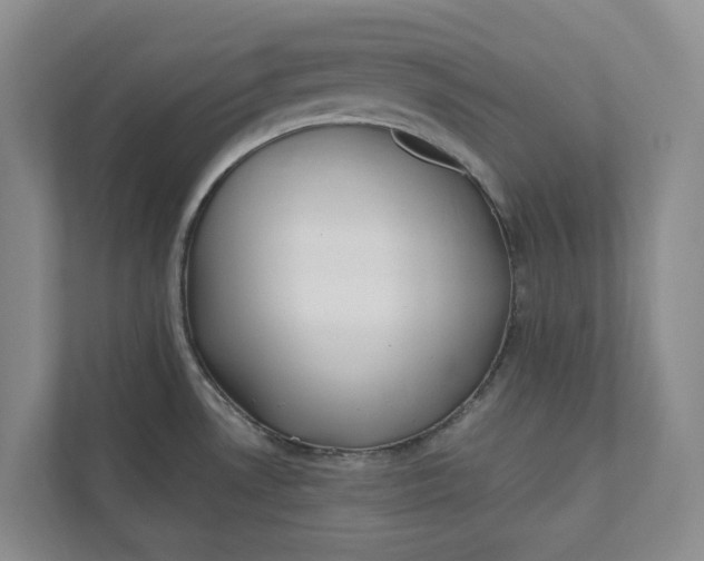 X0000110741530200906290938