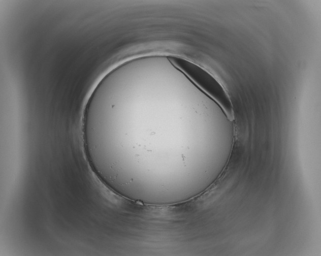X0000110741532200906290938