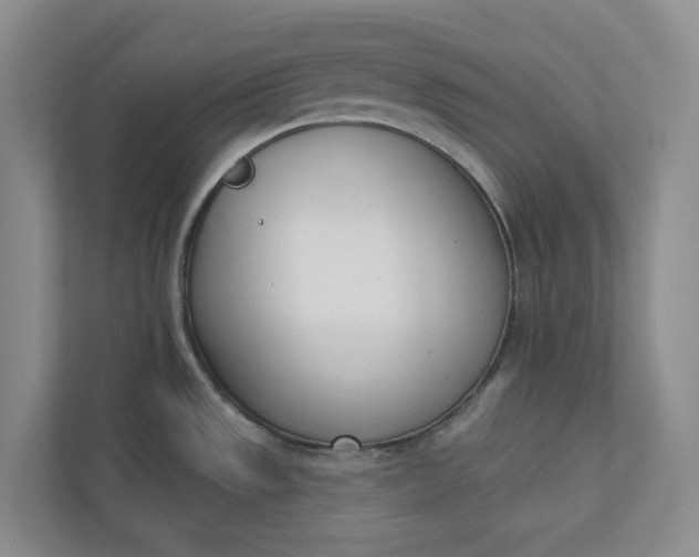 X0000110741533200906290938