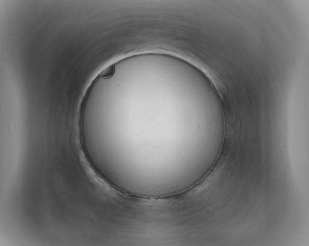 X0000110741534200906290938