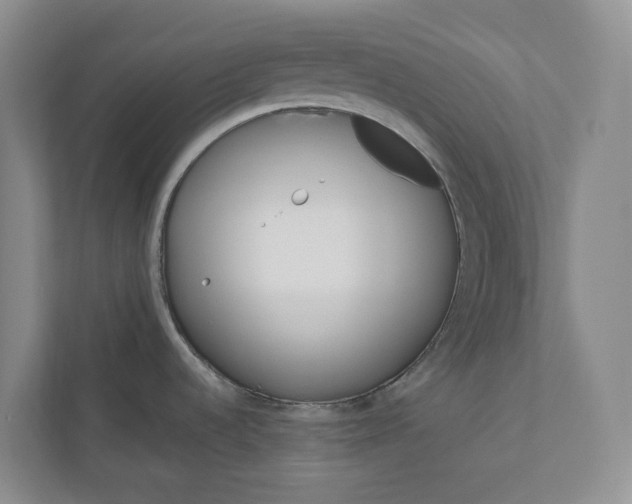 X0000110741536200906290938