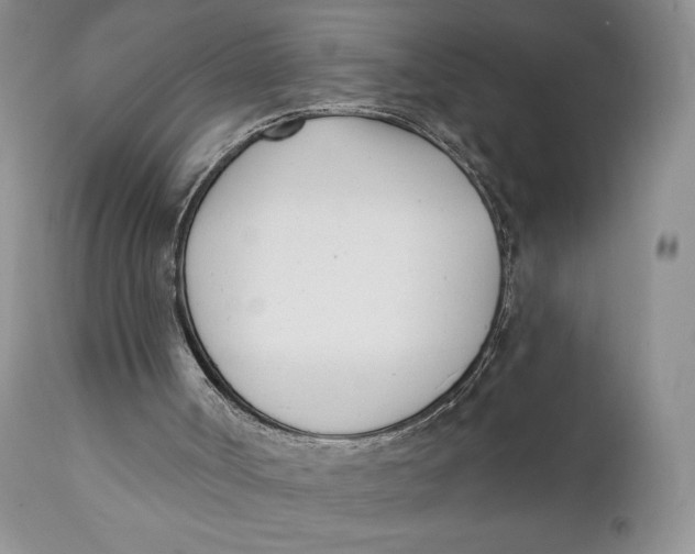 X0000110740002200907061018