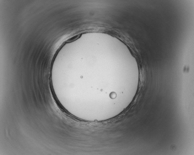 X0000110740003200907061018