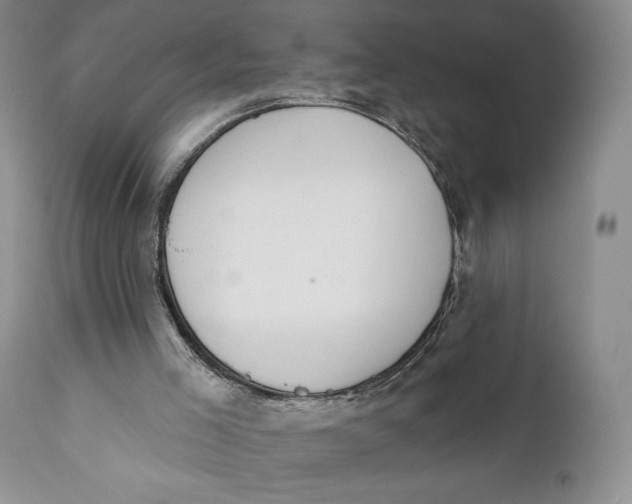 X0000110740005200907061018