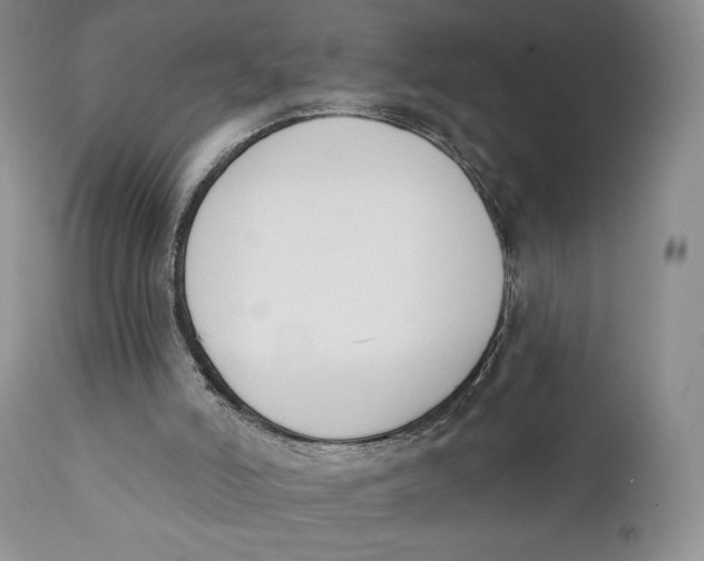 X0000110740006200907061018