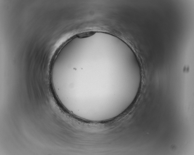 X0000110740008200907061018