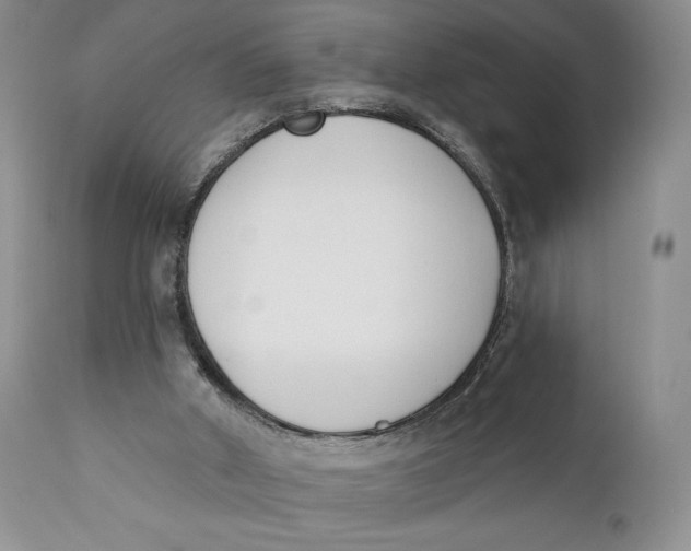 X0000110740010200907061018