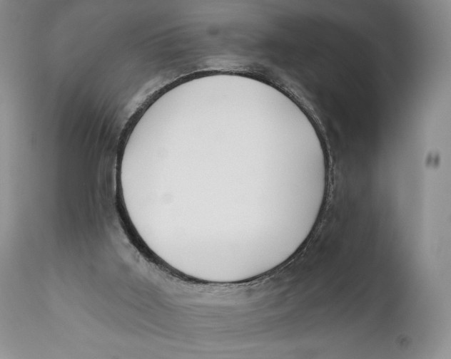 X0000110740011200907061018
