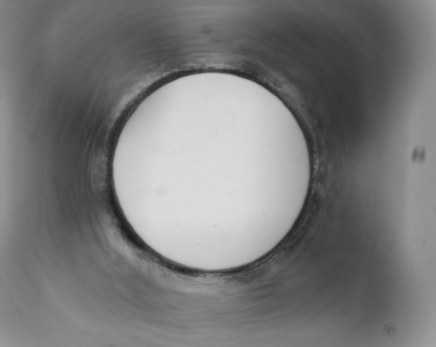 X0000110740012200907061018