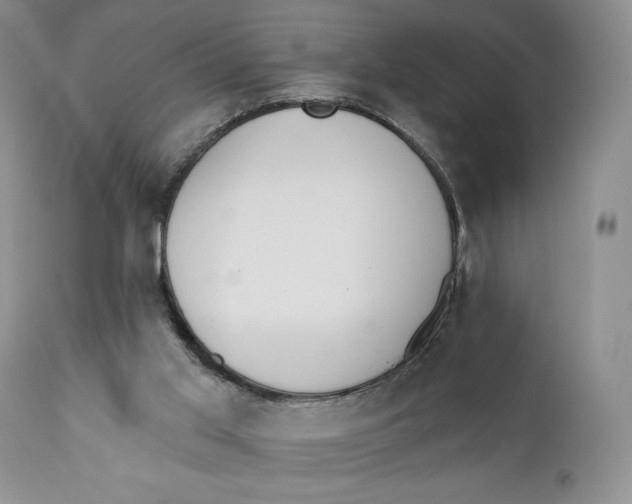 X0000110740013200907061018
