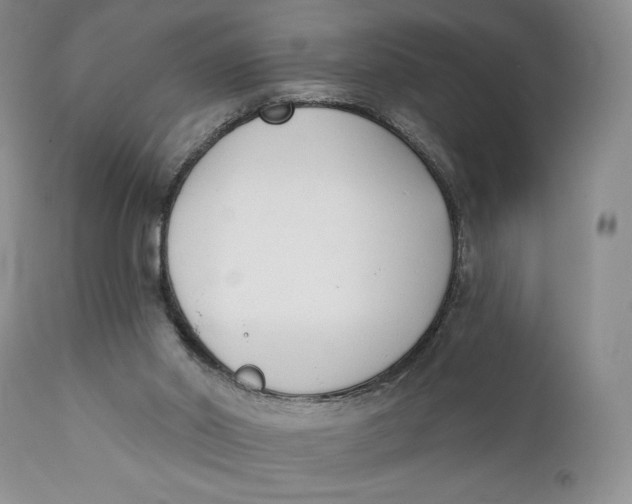 X0000110740014200907061018