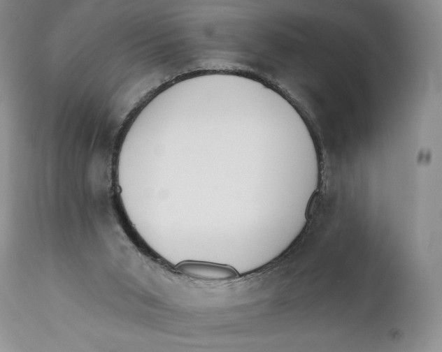 X0000110740015200907061018