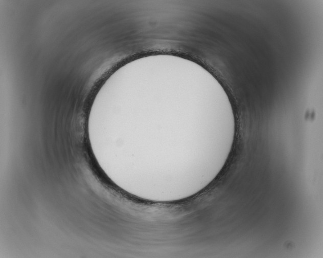 X0000110740016200907061018