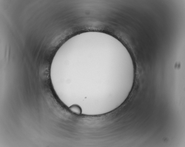 X0000110740017200907061018