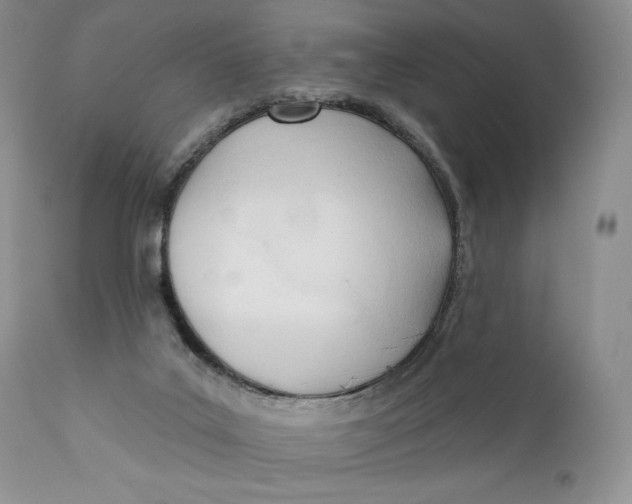 X0000110740019200907061017