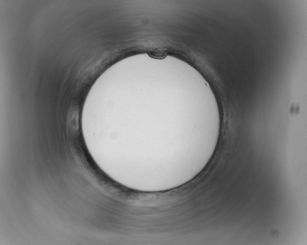 X0000110740021200907061017