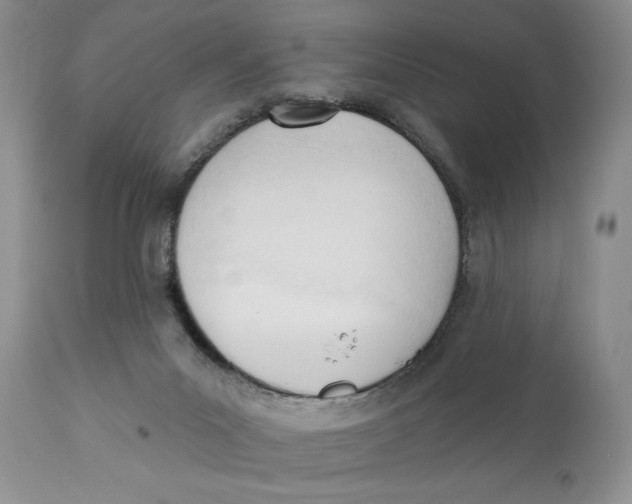 X0000110740023200907061017