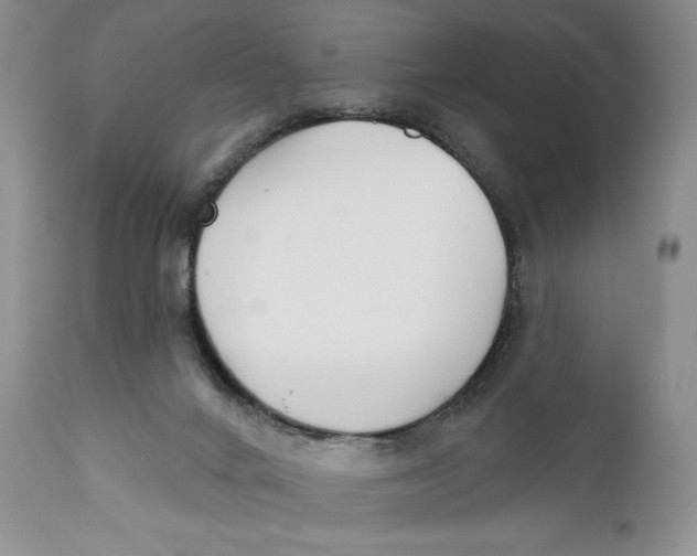 X0000110740024200907061017