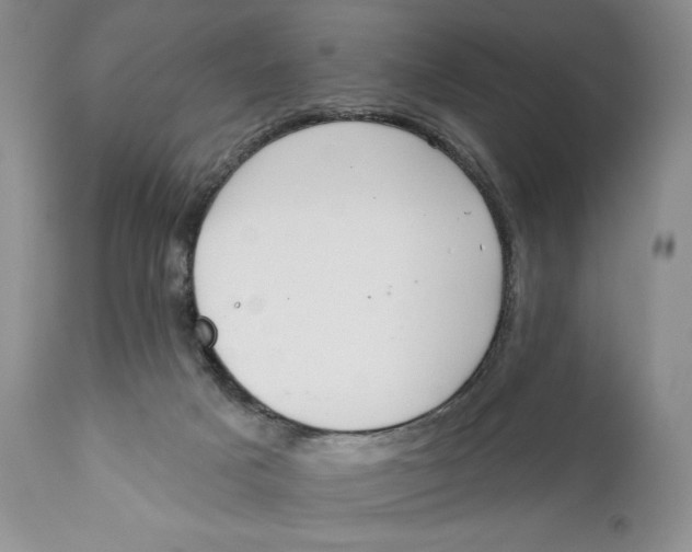 X0000110740025200907061017