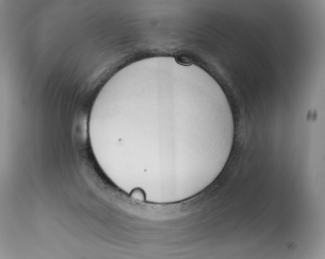 X0000110740027200907061017