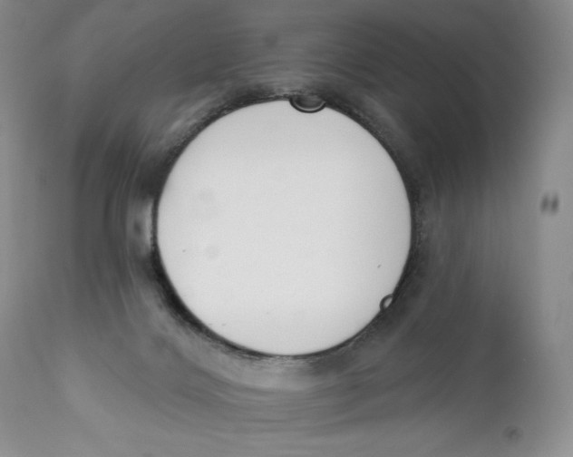 X0000110740028200907061017