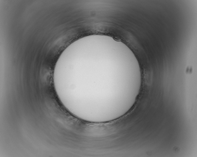 X0000110740029200907061017