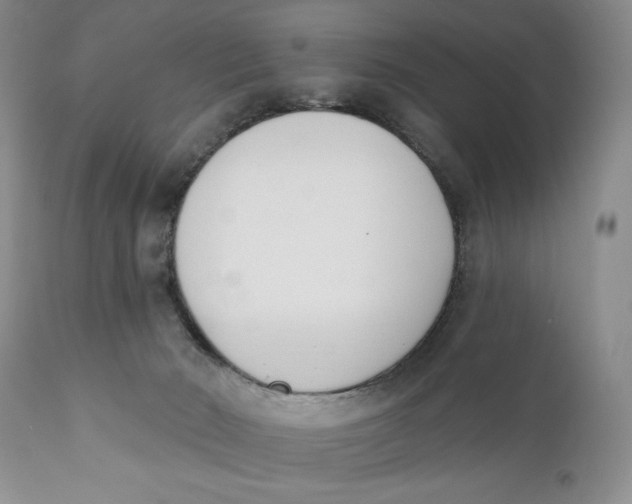 X0000110740030200907061017