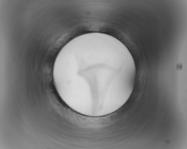 X0000110740031200907061017