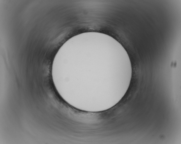 X0000110740032200907061017