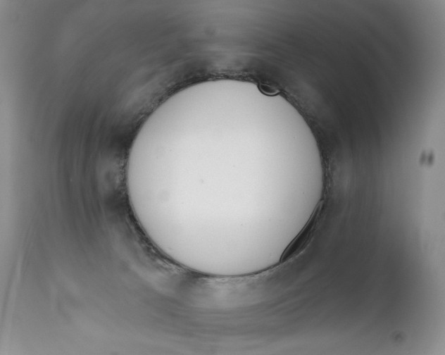 X0000110740033200907061017