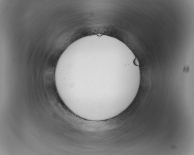 X0000110740034200907061017