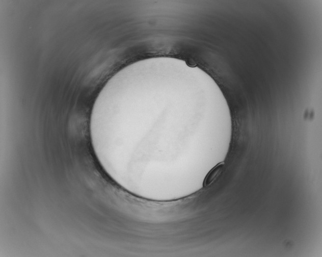 X0000110740035200907061017