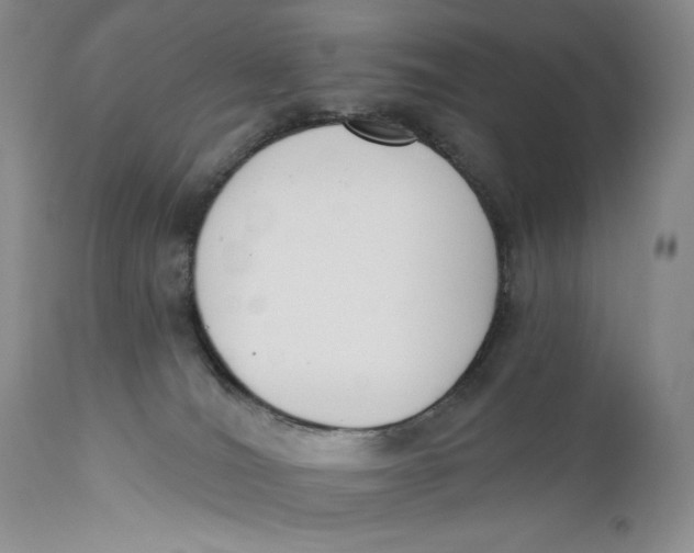 X0000110740036200907061017