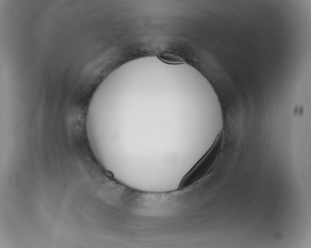 X0000110740037200907061017