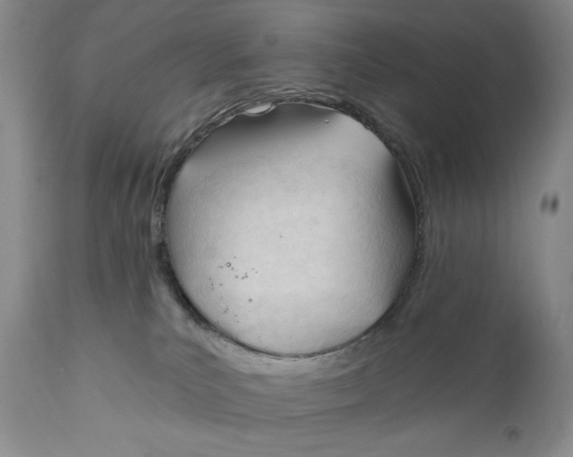 X0000110740039200907061017