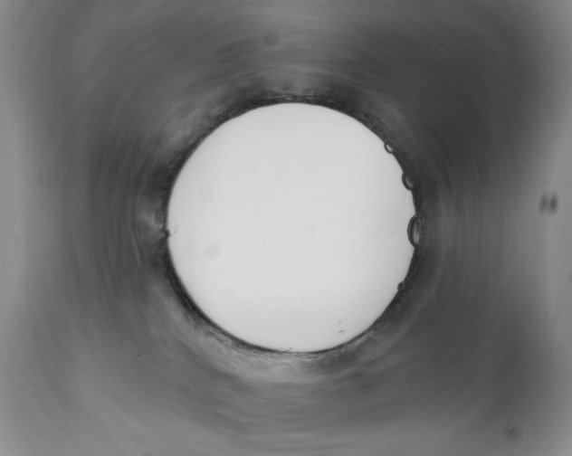 X0000110740040200907061017