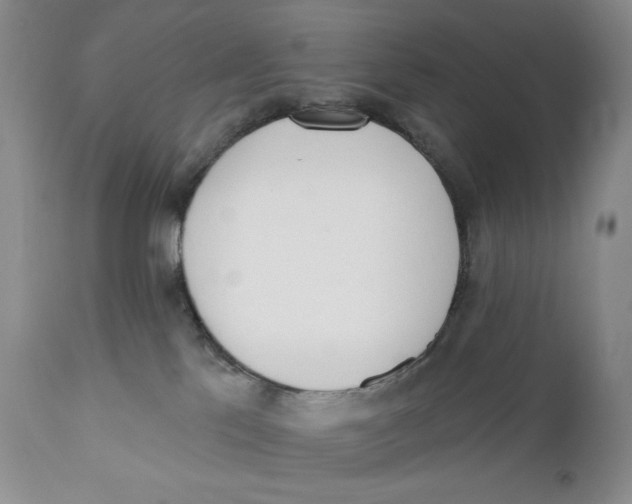 X0000110740041200907061017
