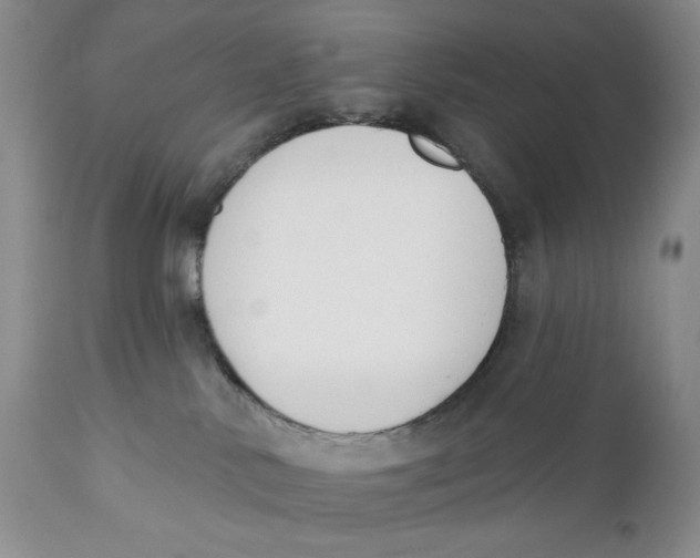 X0000110740042200907061017