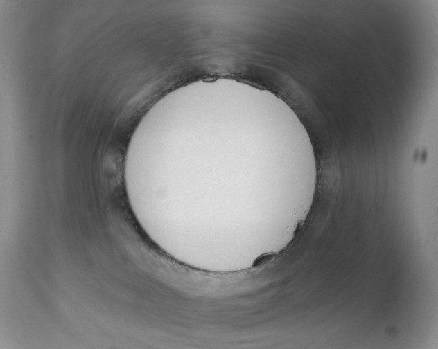 X0000110740043200907061017