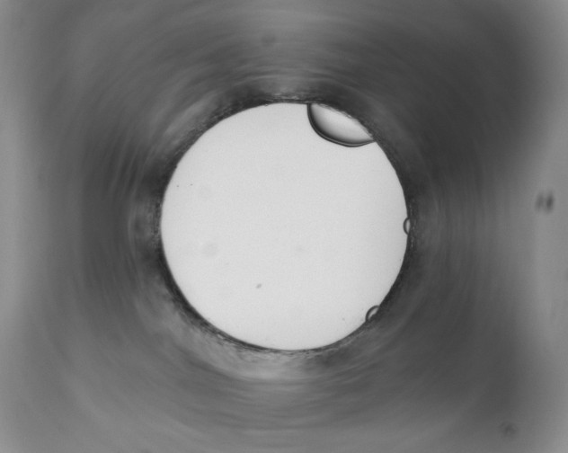 X0000110740044200907061017