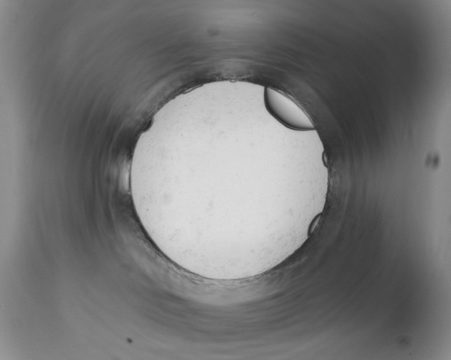 X0000110740046200907061017