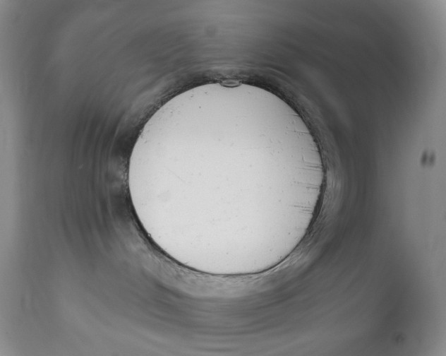 X0000110740048200907061017