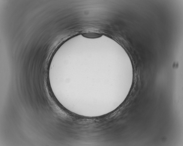 X0000110740049200907061016