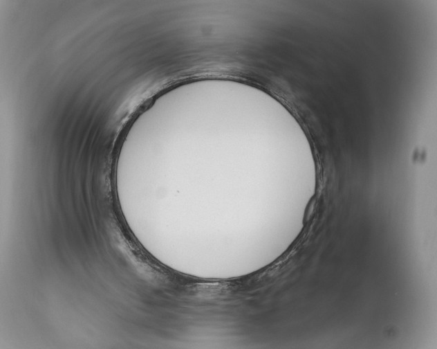 X0000110740050200907061016