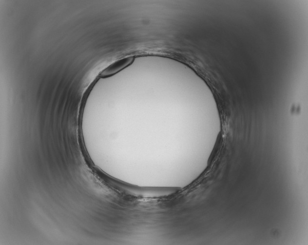 X0000110740052200907061016